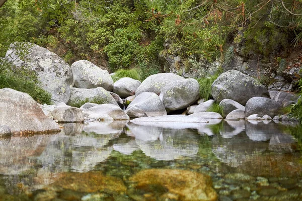 Rivière transparente verte — Photo