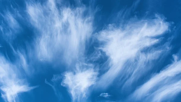 Chmury Pióro Błękitne Niebo — Zdjęcie stockowe