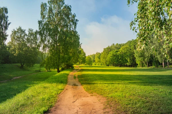 Route Humide Dans Parc Été Après Pluie — Photo