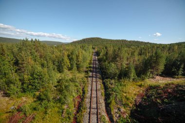 Terk edilmiş tren ormanın içinde. Perspektif içinde görüntülemek.