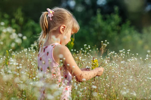 Menina doce em um prado com flores selvagens da primavera — Fotografia de Stock