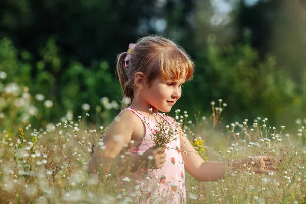 Menina doce em um prado com flores selvagens da primavera — Fotografia de Stock