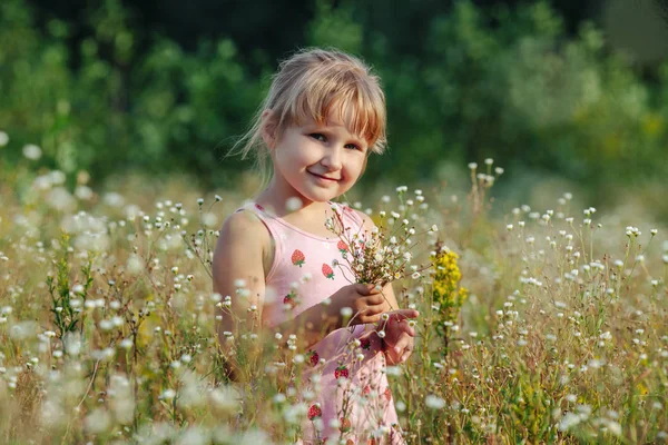 Tatlı küçük kız vahşi bahar çiçekleri ile bir çayırda — Stok fotoğraf