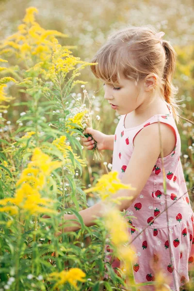 야생 봄 꽃 들과 풀밭에서 달콤한 작은 소녀 — 스톡 사진