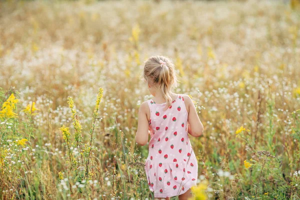 Tatlı küçük kız vahşi bahar çiçekleri ile bir çayırda — Stok fotoğraf