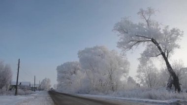 Frost kaplı ağaçlar bir Rus köyde karayoluyla