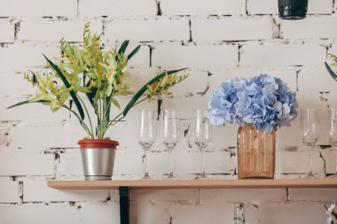 Mutfak içi: saksı, bir vazo çiçek ve bardaklar rafta. Konforlu ev içi.