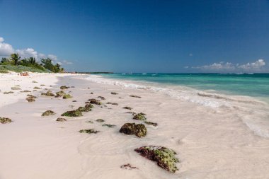 Beyaz kum plaj, mercan ve turkuaz Karayip Denizi. Playa del Carmen, Meksika