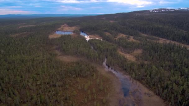 Vista aérea del bosque de abeto y pantano en primavera. Paisaje Taiga en un día nublado — Vídeos de Stock