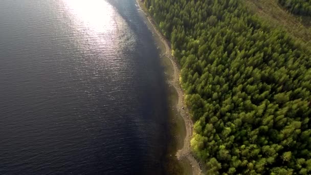 Проміжок часу безпілотника уздовж узбережжя морської бухти. Ліс на березі. Північний пейзаж . — стокове відео