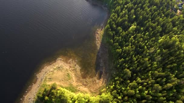 Die Spannweite der Drohne entlang der Küste der Meeresbucht. Wald am Ufer. Nördliche Landschaft. — Stockvideo