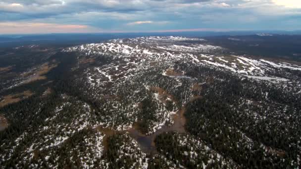 Luftaufnahme von Fichtenwald gemischt mit kahlen Bäumen im Frühling. Taiga-Landschaft mit einer Drohne an einem bewölkten Tag. — Stockvideo