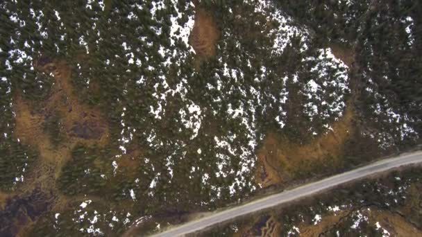 Vista aérea da floresta de abetos misturada com árvores nuas na primavera. Taiga paisagem com um drone em um dia nublado . — Vídeo de Stock