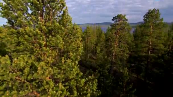 Décollage d'un drone au-dessus de la forêt par une journée ensoleillée. Vue sur la baie de la mer .