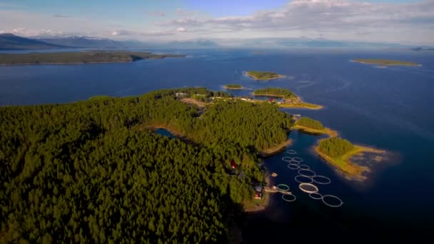 Vista de aves de la bahía y las islas en el Mar Blanco. La extensión del dron sobre el bosque y el mar. Granja de peces cerca de la orilla . — Vídeos de Stock