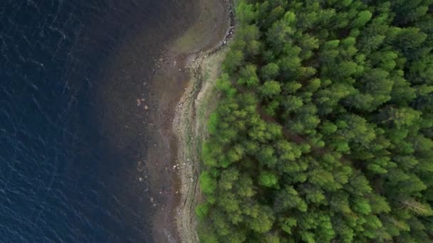 La envergadura del dron a lo largo de la costa de la bahía marina. Bosque en la orilla. Paisaje norte . — Vídeos de Stock