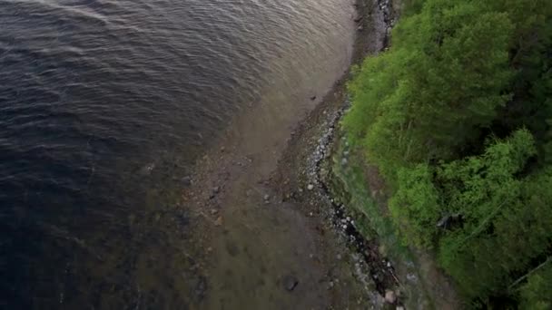 La envergadura del dron a lo largo de la costa de la bahía marina. Bosque en la orilla. Paisaje norte . — Vídeos de Stock