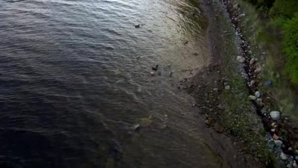 De spanwijdte van de drone langs de kust van de baai van de zee. Bos aan de kust. Noordelijke landschap. — Stockvideo