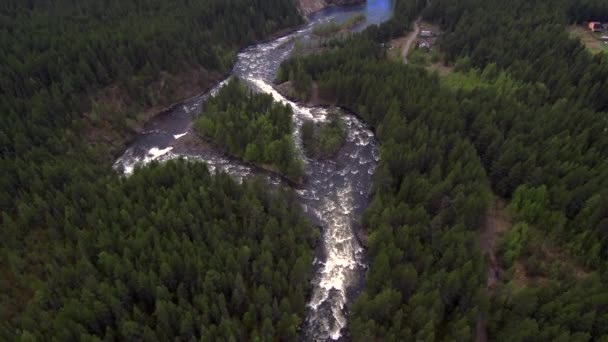 Вид с воздуха с беспилотника. Горная река течёт среди густых таежных лесов . — стоковое видео
