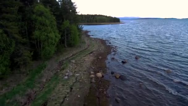 Rozsah dron podél pobřeží zálivu moře. Les na břehu. Severní krajina. — Stock video