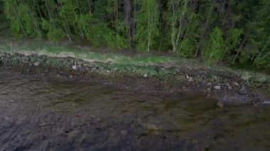 Deniz körfezin kıyısında dron yayılımı. Orman kıyısında. Kuzey manzara.