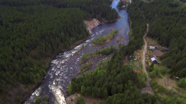 Letecký pohled od dron. Horská řeka teče mezi lesní husté Tajga. — Stock video