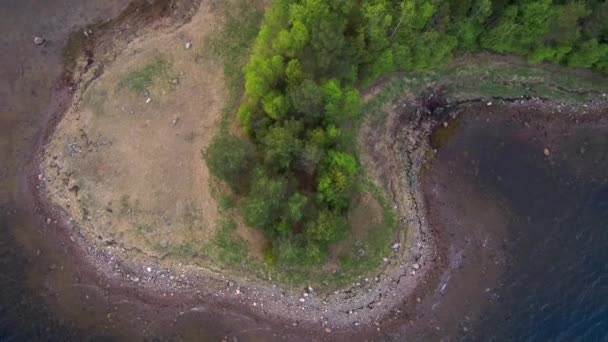 La envergadura del dron a lo largo de la costa de la bahía marina. Bosque en la orilla. Paisaje norte . — Vídeos de Stock