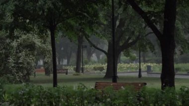 Parkta ağır yaz yağmuru. İnsanlar yol boyunca bir şemsiyenin altında yürüyebilir. Gorky Park, Moskova