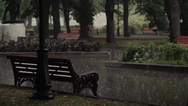 Скамейка в винтажном стиле в парке под дождем. Вид сзади — стоковое видео