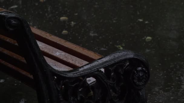 Bench in vintage style in the park in the rain. Close up view — Stock Video