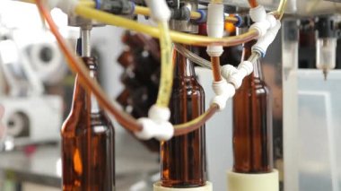 Bira fabrikasında, makine şişeleri birayla doldurmak için memenin altındaki şişelerin yerine geçer..