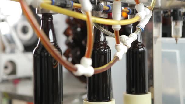 Bira fabrikasında, makine şişeleri birayla doldurmak için memenin altındaki şişelerin yerine geçer.. — Stok video