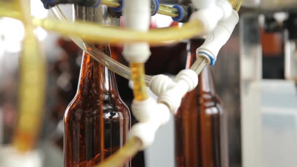 Bij een brouwerij vult een machine een fles bier. Een machine operator op de achtergrond regelt het proces. Close-up. — Stockvideo