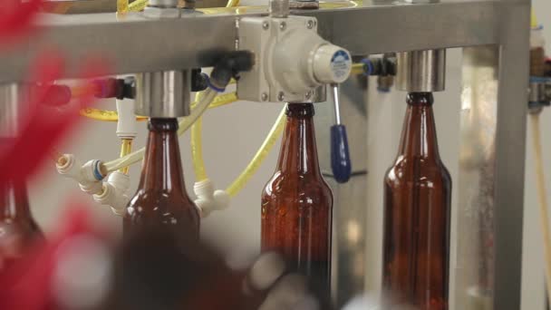 En una cervecería, una máquina llena una botella de cerveza. Un operador de máquina controla el proceso. Primer plano . — Vídeo de stock