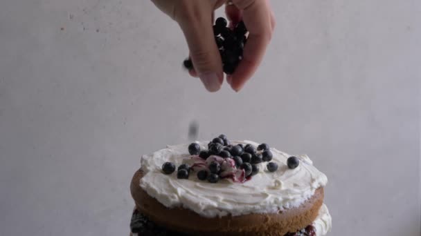 Eine weibliche Hand dekoriert eine Torte mit Blaubeeren. Nahaufnahme, Zeitlupe. — Stockvideo