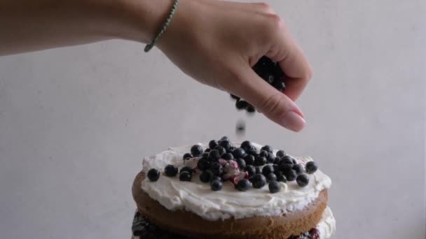 Ženská ruka zdobí dort borůvkami. Zblízka, pomalý pohyb. — Stock video
