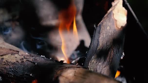 Спалив дрова у вогні. Bonfire крупним планом . — стокове відео