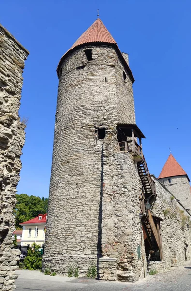 Tallinn Estonia Luglio 2019 Piastra Torre Piastra Lacerata Circa Secolo — Foto Stock