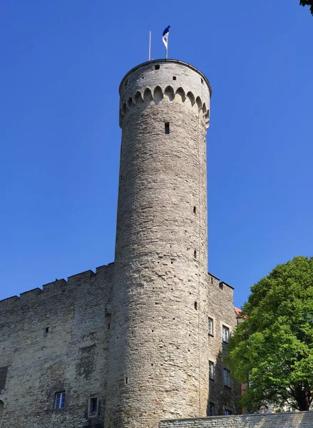 Tallinn Estland Juli 2019 Estnische Nationalflagge Über Dem Hohen Hermannsturm — Stockfoto