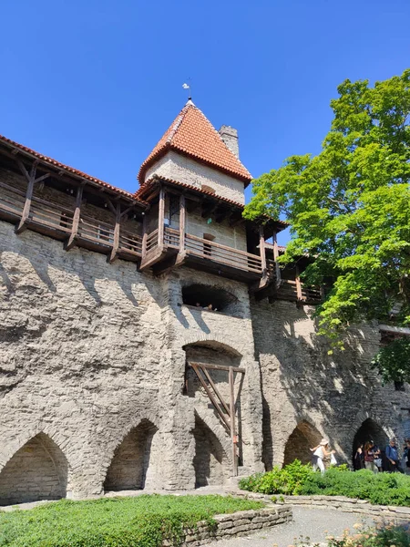 Tallinn Estónia Julho 2019 Torre Estável Tallitorn Por Volta 1380 — Fotografia de Stock