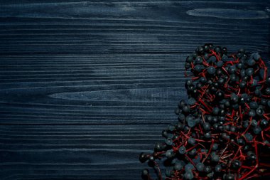 Koyu mavi zemin üzerine yabani üzüm