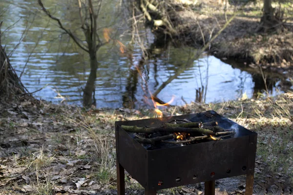 The fireplace for barbecue against a lake background in a forest. Recreation on a nature.
