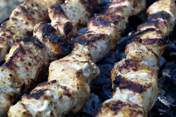 Meat in spices cooking on a fire outdoor. Barbecue background.