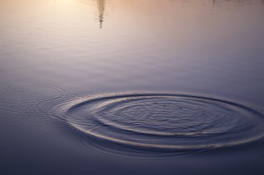 Günbatımı manzara. Günbatımı zamanı gölette. Akşam gökyüzü rengini.