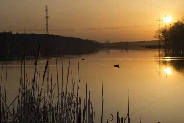 Západ Slunce Šířku Rybník Při Západu Slunce Večerní Barva Oblohy — Stock fotografie