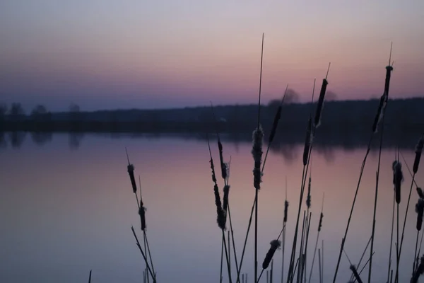 Sonnenuntergangslandschaft Teich Bei Sonnenuntergang Abendfarbe Des Himmels — Stockfoto