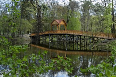 Bahar ormandaki göl üzerinde ahşap köprü.