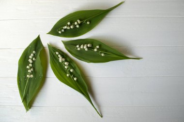 Lily vadi Beyaz ahşap zemin üzerinde. Vahşi orman çiçek.