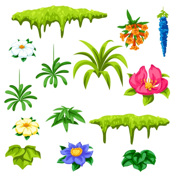 Set of tropical flowers. Exotic tropical plants.