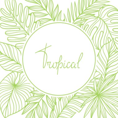 Arka planda doğrusal palmiye yaprakları var. Tropikal yeşillik ve bitkilerin dekoratif görüntüsü. Egzotik doğa.